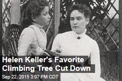 Helen Keller&#39;s Favorite Climbing Tree Cut Down