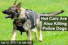Hot Cars Are Also Killing Police Dogs