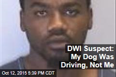 DWI Suspect: My Dog Was Driving, Not Me