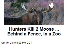 Hunters Kill 2 Moose ... Behind a Fence, in a Zoo