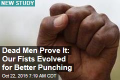 Our Fists Evolved for Better Punching