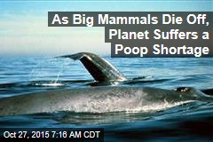 As Mammals Die Off, Planet Suffers a Poop Shortage