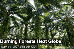 Burning Forests Heat Globe