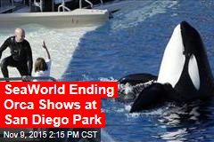 SeaWorld Ending Orca Shows at San Diego Park