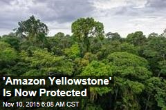 &#39;Amazon Yellowstone&#39; Is Now Protected