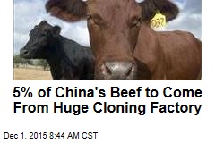 5% of China&#39;s Beef to Come From Huge Cloning Factory