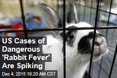 US Cases of Dangerous &#39;Rabbit Fever&#39; Are Spiking