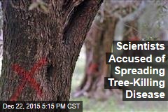 Scientists Accused of Spreading Tree-Killing Disease