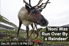 &#39;Noni Was Run Over By a Reindeer&#39;