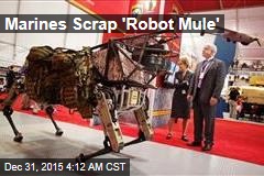 Marine Corps Gives Up on &#39;Robot Mule&#39;