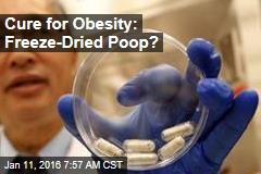 Cure for Obesity: Freeze-Dried Poop?