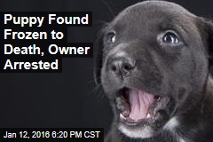 Puppy Found Frozen to Death, Owner Arrested