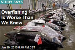 Study: Overfishing Is Worse Than We Knew