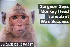 Surgeon Says Monkey Head Transplant Was Success