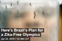 Here&#39;s Brazil&#39;s Plan for a Zika-Free Olympics