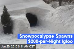 Snowpocalypse Spawns $200-per-Night Igloo