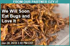 We Will Soon Eat Bugs and Love It