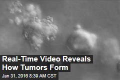 Real-Time Video Reveals How Tumors Form