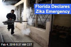 Florida Declares Zika Emergency