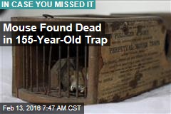 Mouse Found Dead in 155-Year-Old Trap