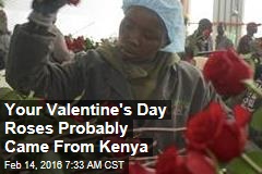 Your Valentine&#39;s Day Roses Probably Came From Kenya