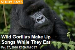 Wild Gorillas Make Up Songs While They Eat