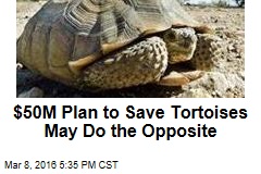 $50M Plan to Save Tortoises May Do the Opposite