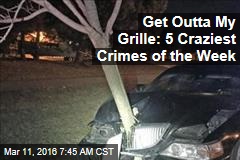 Get Outta My Grille: 5 Craziest Crimes of the Week