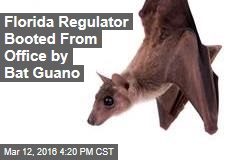 Florida Regulator Booted From Office by Bat Guano