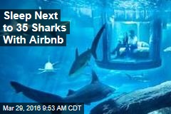 Sleep Next to 35 Sharks With Airbnb