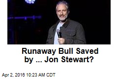 Runway Bull Saved by ... Jon Stewart?