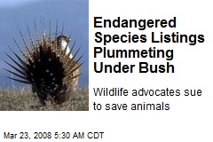 Endangered Species Listings Plummeting Under Bush