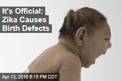 It&#39;s Official: Zika Causes Birth Defects