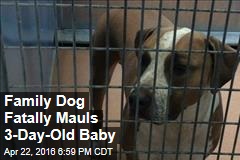 dog fatally mauls baby family old newser animal