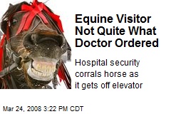 Equine Visitor Not Quite What Doctor Ordered