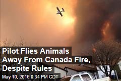 Pilot Flies Animals Away From Canada Fire, Despite Rules