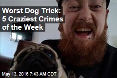 Worst Dog Trick: 5 Craziest Crimes of the Week