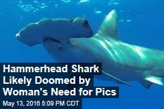 Hammerhead Shark Likely Doomed by Woman&#39;s Need for Pics