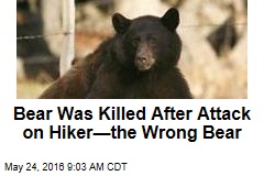 Bear Was Killed After Attack on Hiker&mdash;the Wrong Bear