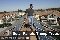 Solar Panels Trump Trees