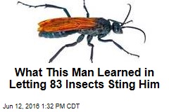 What This Man Learned in Letting 83 Insects Sting Him
