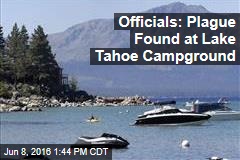 Officials: Plague Found at Lake Tahoe Campground