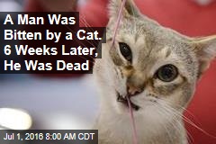 A Man Was Bitten by a Cat. 6 Weeks Later, He Was Dead