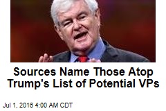 Sources: Gingrich, Christie Top Trump&#39;s List of Potential VPs