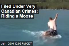 Filed Under Very Canadian Crimes: Riding a Moose