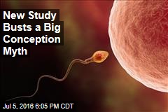 New Study Busts a Big Conception Myth