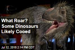 What Roar? Some Dinosaurs Likely Cooed