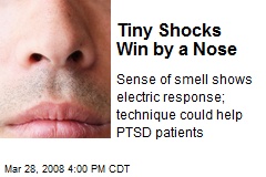 Tiny Shocks Win by a Nose