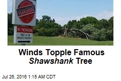 Winds Topple Famous Shawshank Tree
