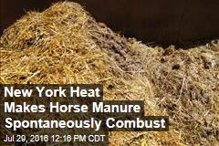 New York Heat Makes Horse Manure Spontaneously Combust